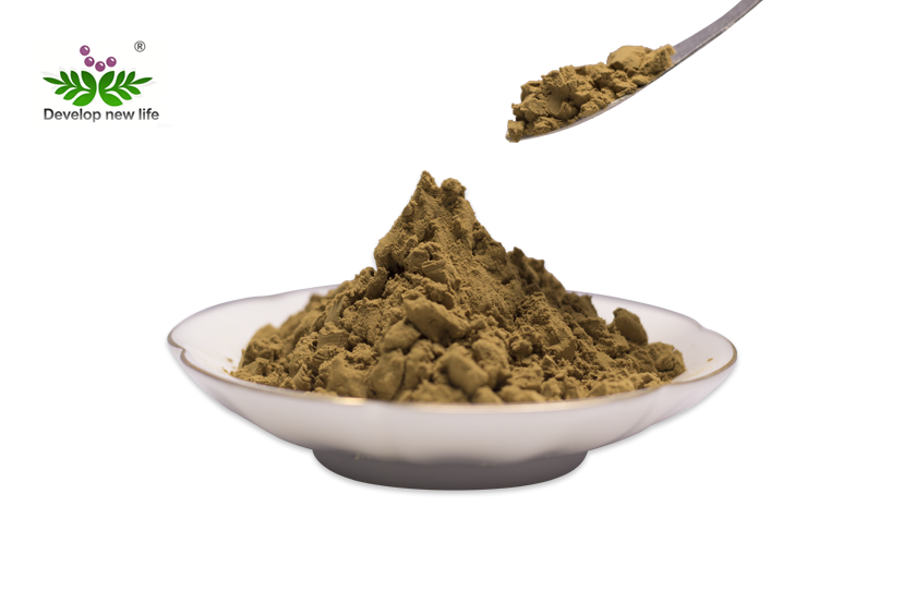 Ginkgo Biloba Extract Powder
